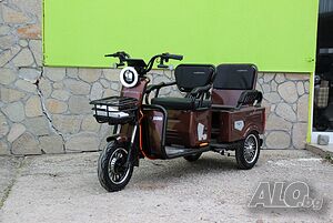 Електрическа Двуместна Триколка CARGO LUX 1500W -