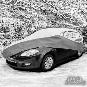 image_6