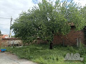 image_11
