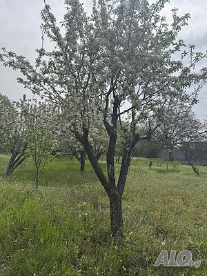 ПАРЦЕЛ/ УПИ във в. з. Куба град Хасково