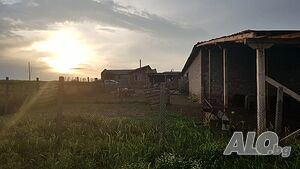 Действаща ферма в с. Мандра обл. Хасково