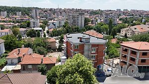image_9