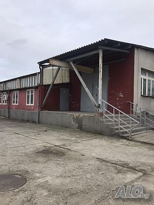 image_5