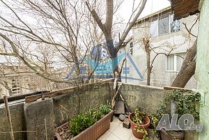 image_7