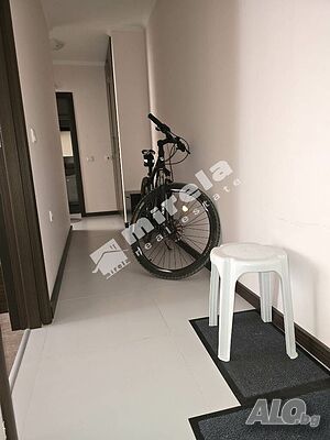 image_11