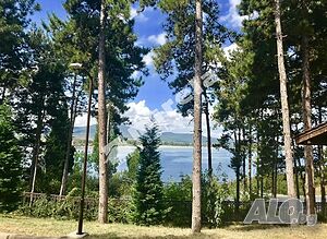 image_10