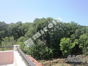 image_11