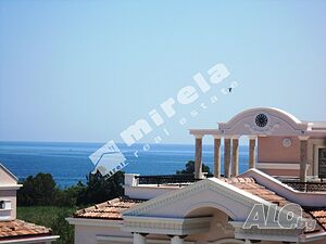 image_12