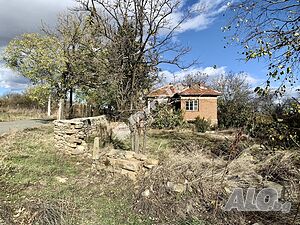 image_12