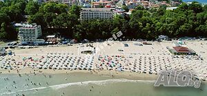 image_11