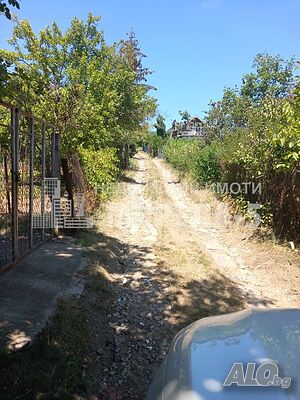 image_2