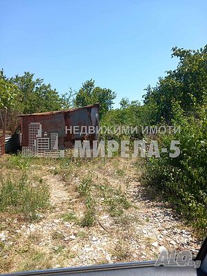 image_6