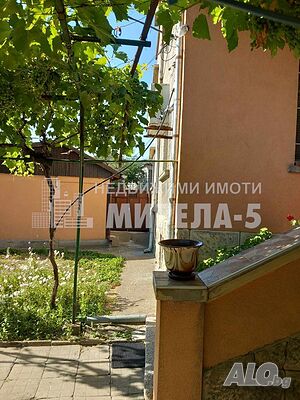 image_6