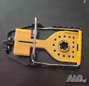 image_2