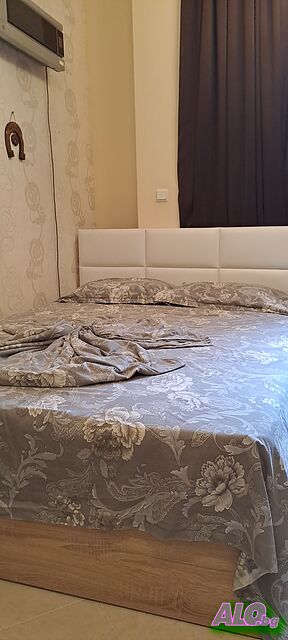 image_11