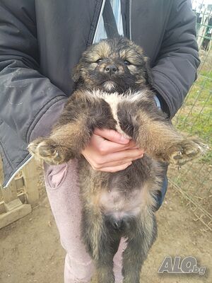 image_3