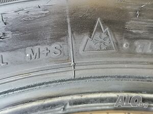 image_6