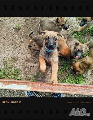 image_6