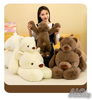 image_5