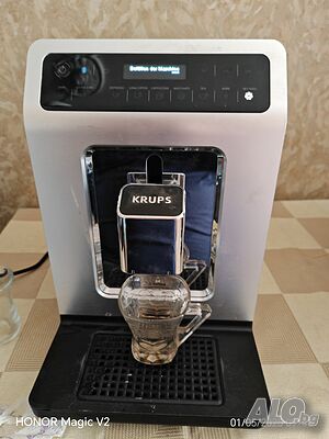 image_7