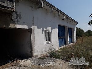 image_5