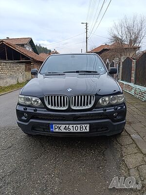 image_11