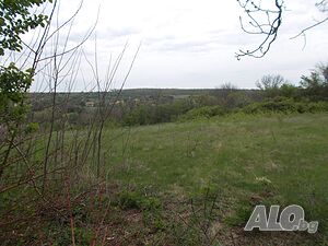 image_6