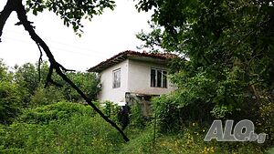 image_11
