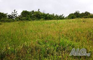image_10