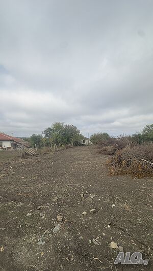 image_3