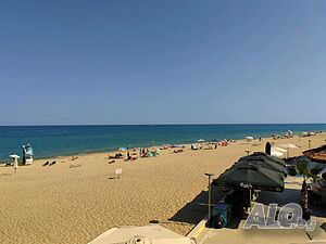 image_11