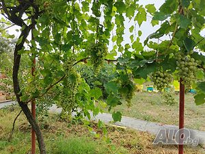 image_8