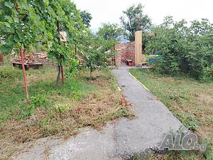 image_9
