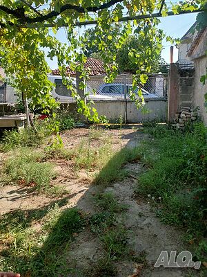 image_6