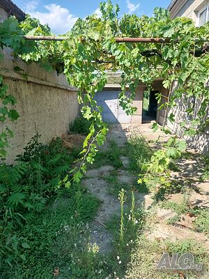 image_8