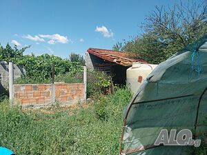 image_11