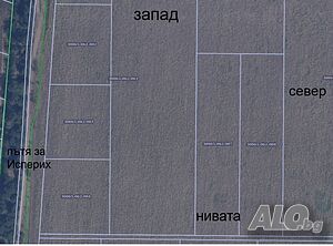 image_3