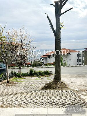 image_13