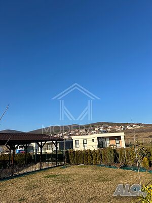 image_10
