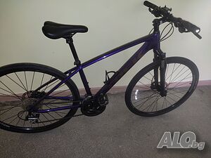 TREK DUAL SPORT 2