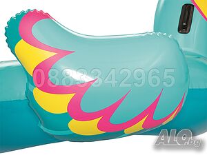 image_6