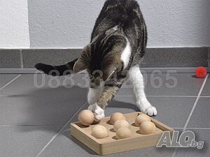 image_3