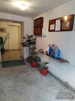 image_11