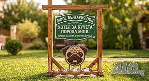 Хотел за кучета порода Мопс