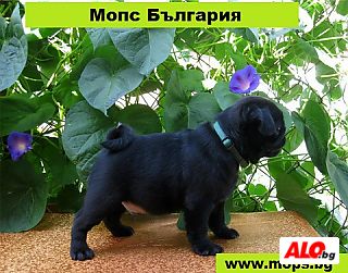 image_13