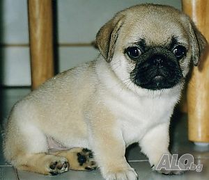 image_11
