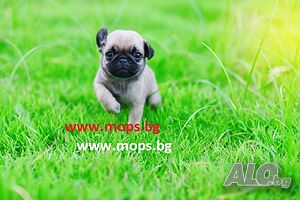 image_12