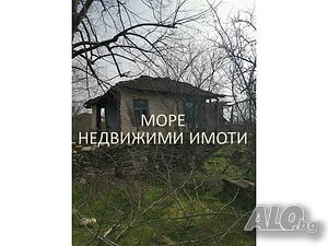 image_6