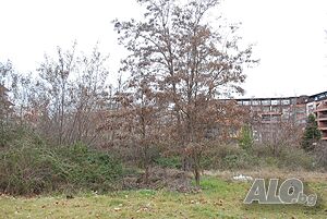image_6