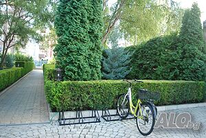 image_12